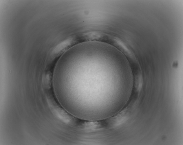 X0000092070378200709191209