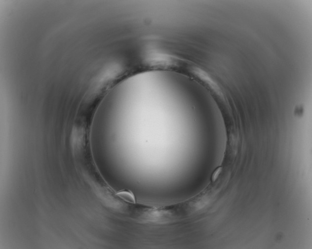 X0000092070379200709191209