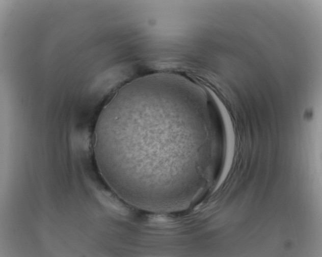 X0000092070380200709191209