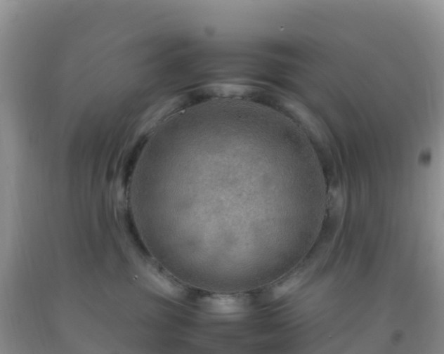 X0000092070381200709191209