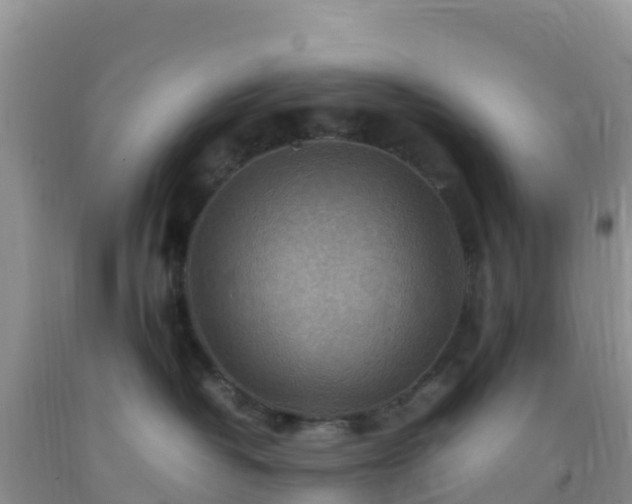 X0000092070382200709191209