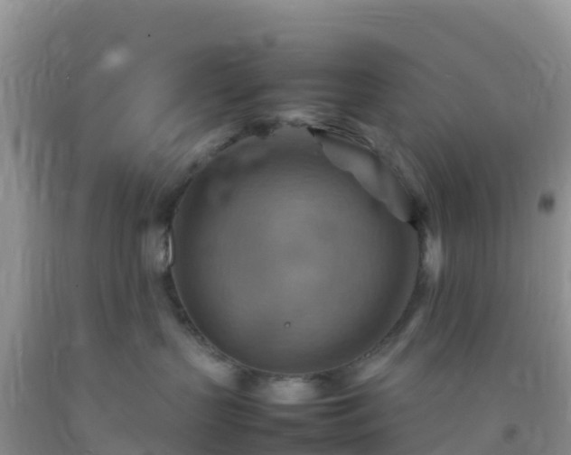 X0000092070383200709191209