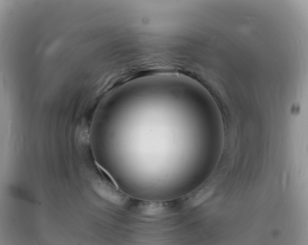 X0000092070384200709191209