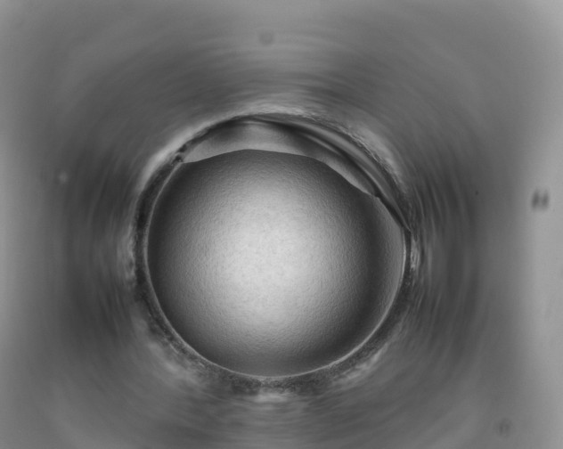 X0000092070388200709191208