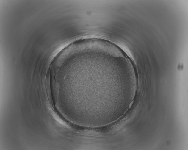X0000092070389200709191208