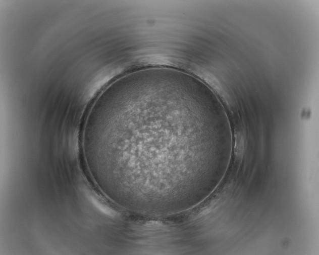 X0000092070390200709191208