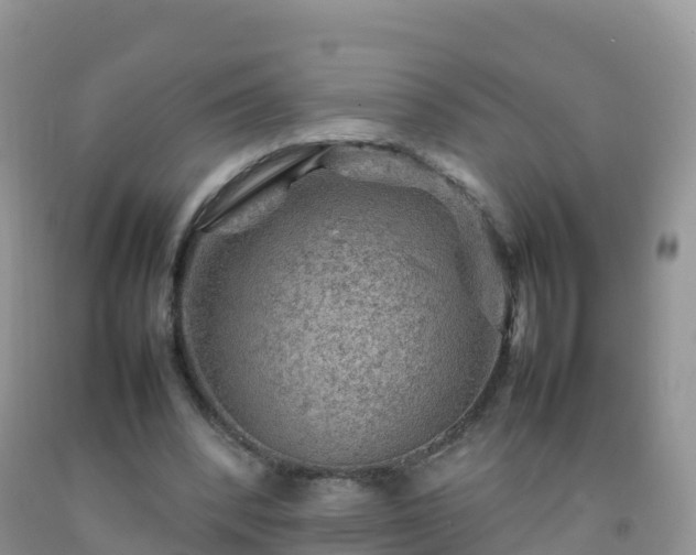 X0000092070392200709191208