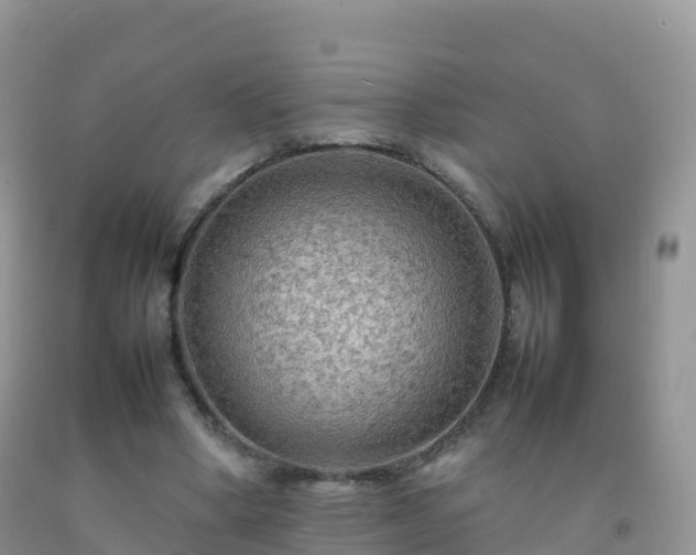 X0000092070394200709191208