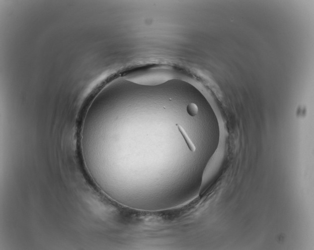 X0000092070395200709191208