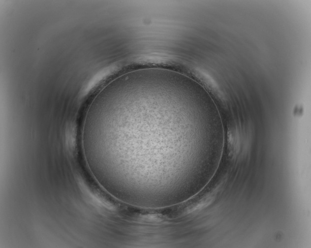 X0000092070396200709191208