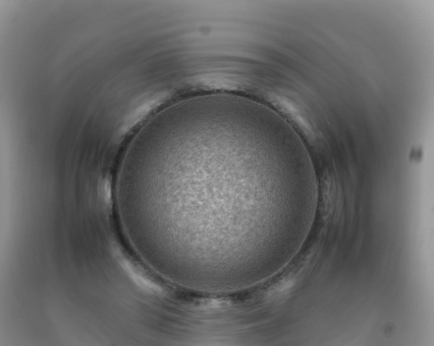 X0000092070398200709191208
