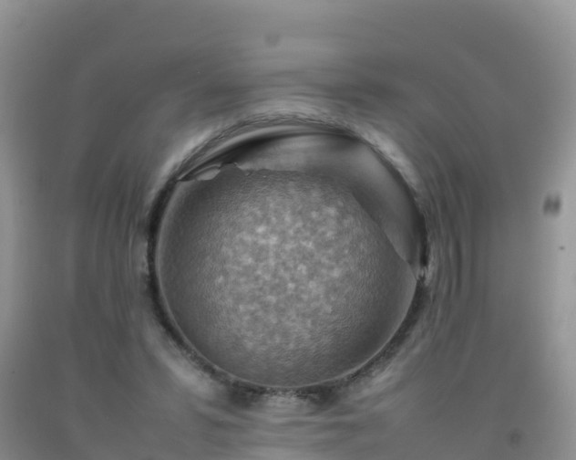 X0000092070399200709191208