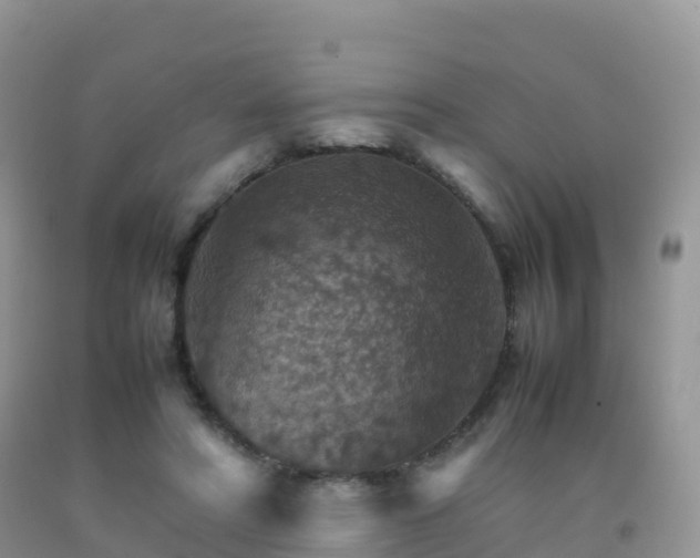 X0000092070402200709191207