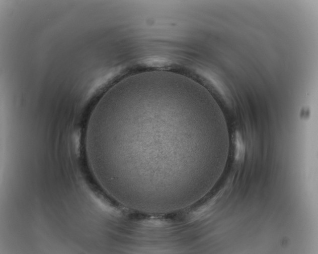 X0000092070404200709191207