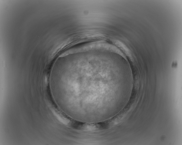 X0000092070405200709191207