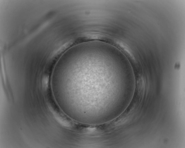 X0000092070406200709191207