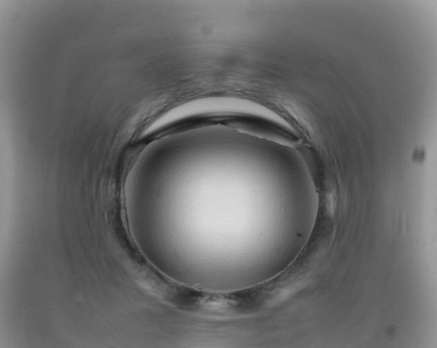 X0000092070407200709191207