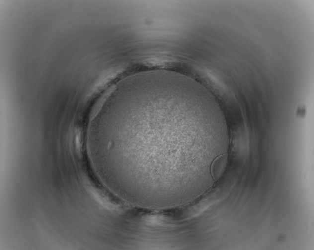 X0000092070408200709191207