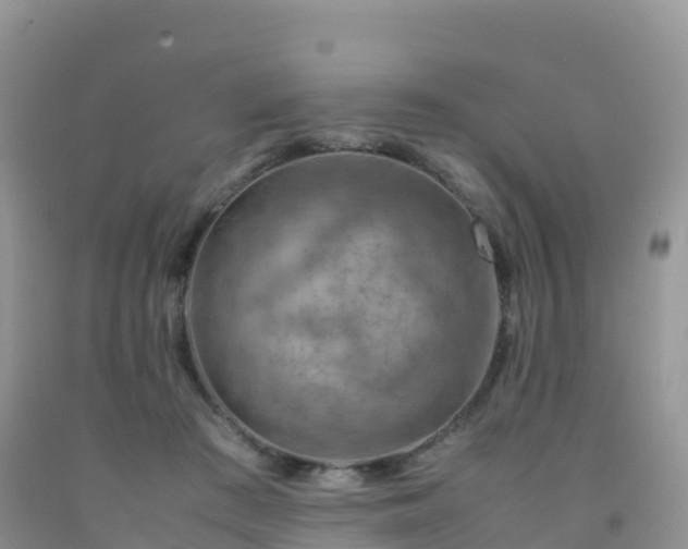 X0000092070409200709191207
