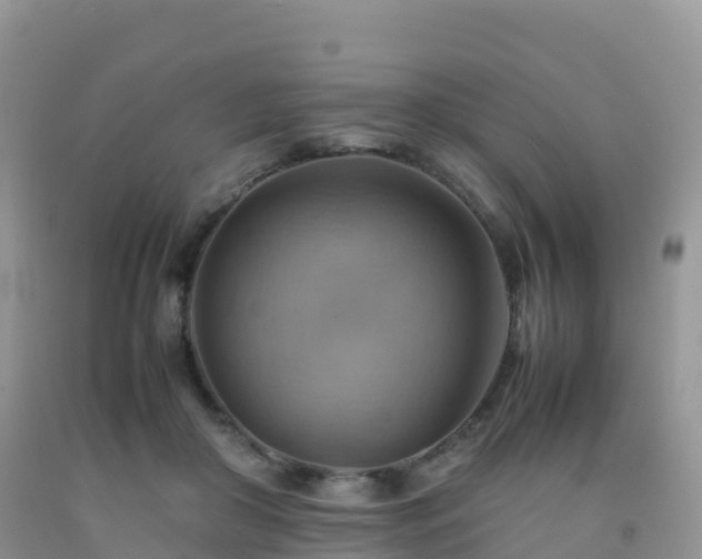 X0000092070410200709191207