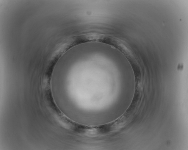 X0000092070411200709191207
