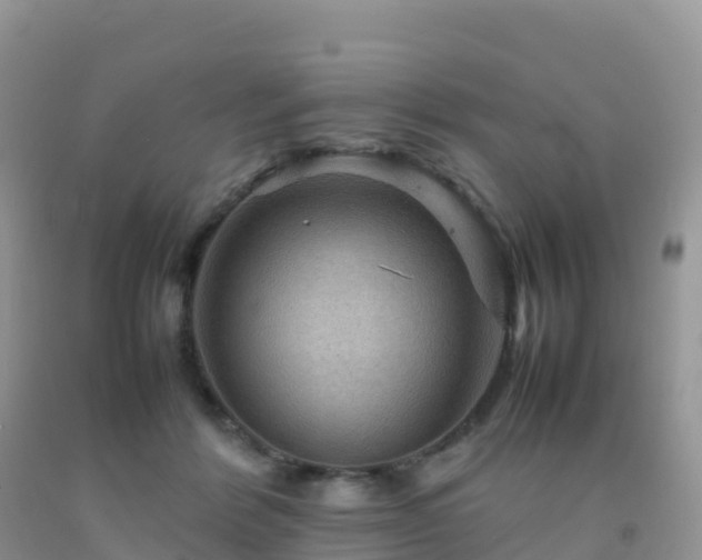 X0000092070412200709191207
