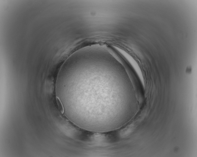 X0000092070413200709191207