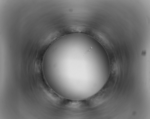 X0000092070414200709191207
