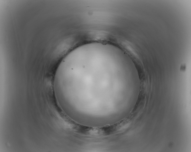 X0000092070415200709191207