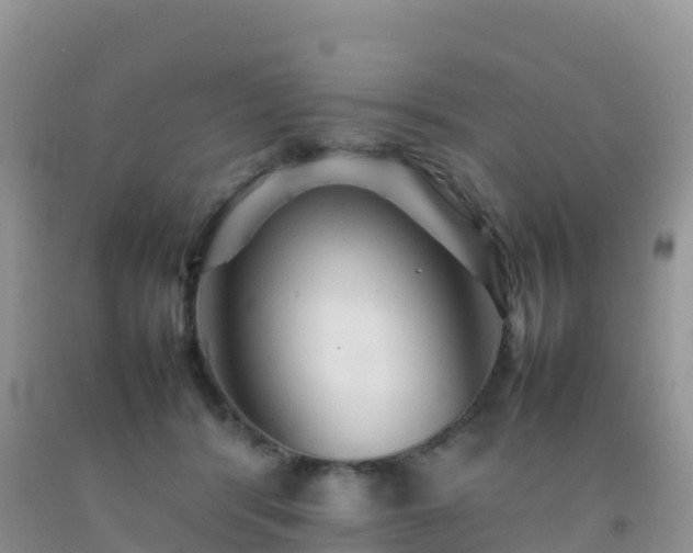 X0000092070416200709191207