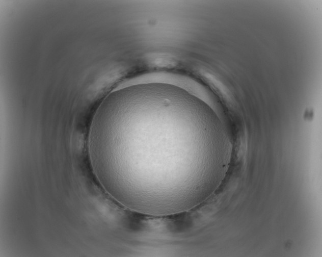 X0000092070417200709191207