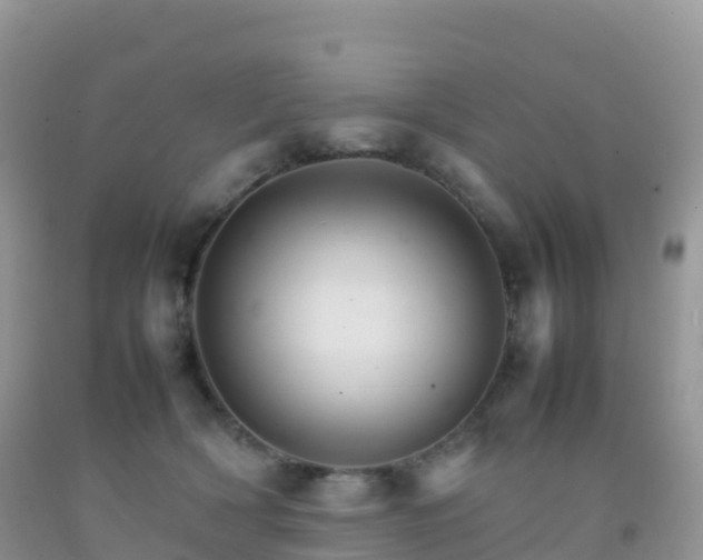 X0000092070418200709191207