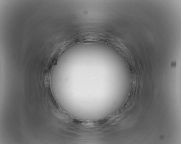 X0000092070419200709191207