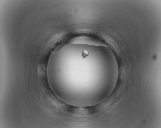 X0000092070421200709191207