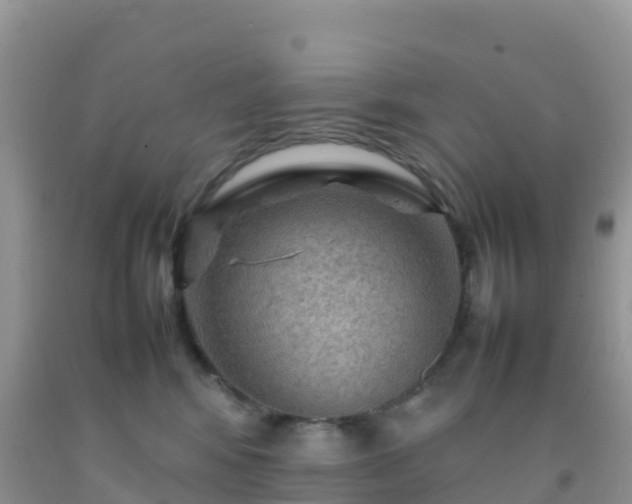 X0000092070424200709191207