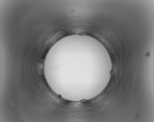 X0000092070427200709191207