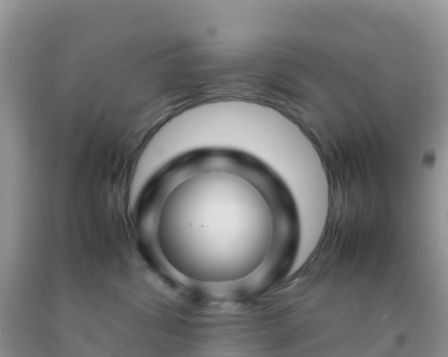 X0000092070428200709191207