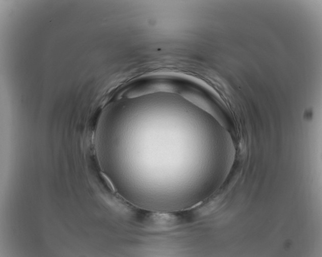 X0000092070429200709191207