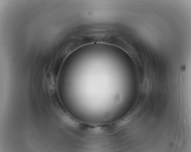 X0000092070430200709191207
