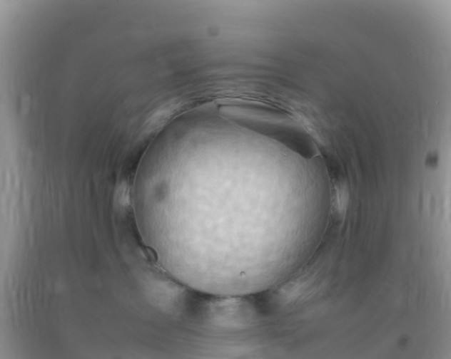 X0000092070431200709191207