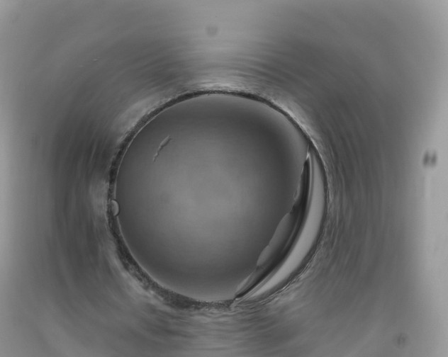 X0000092070434200709191206