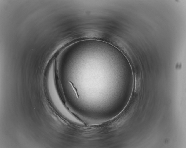 X0000092070435200709191206