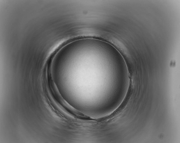 X0000092070436200709191206