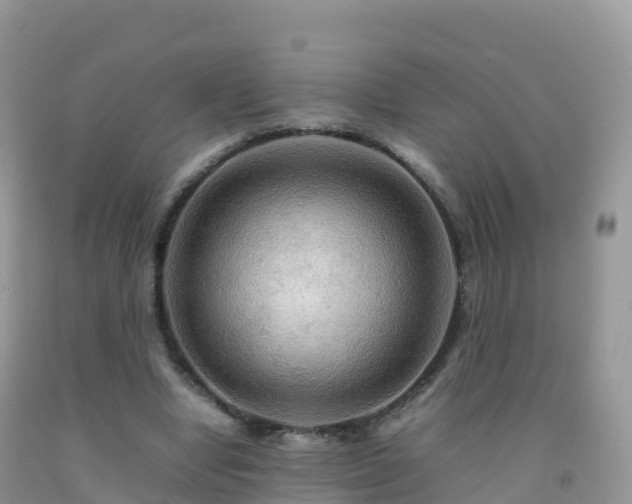 X0000092070442200709191206