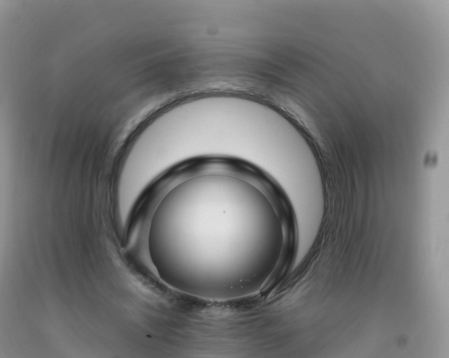 X0000092070444200709191206