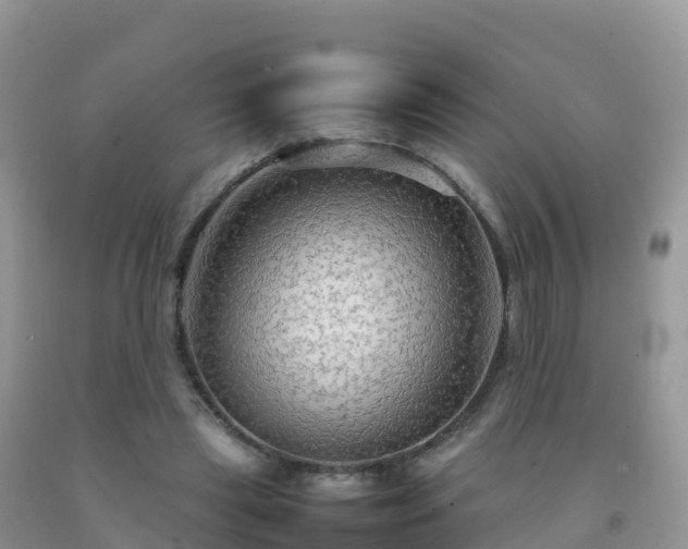 X0000092070445200709191206