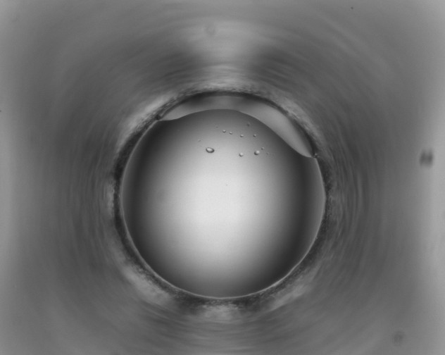X0000092070446200709191207