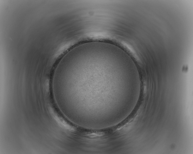 X0000092070447200709191207