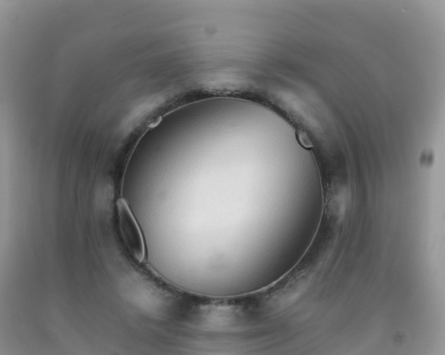 X0000092070448200709191207