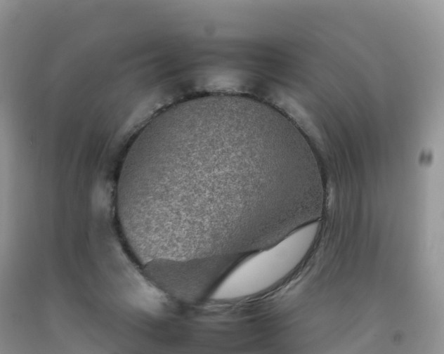 X0000092070449200709191207